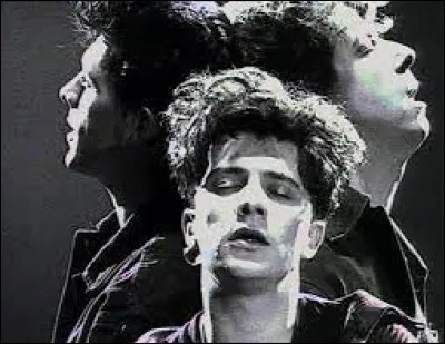 Quel groupe a sorti un album studio intitulé "Le Baiser" en 1990 ?