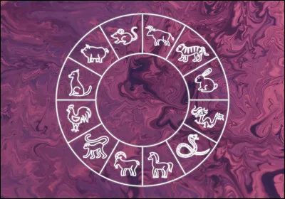 Quel est ton signe astrologique ?