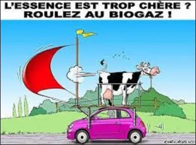 En 2022, quel modèle de voiture s'est le plus vendu en France, avec 88 812 ventes ?