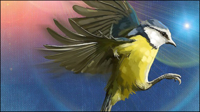 Laquelle de ces images représente un oiseau ?