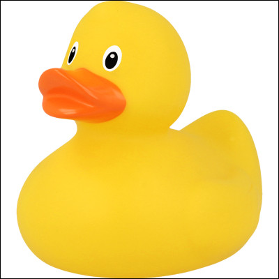 Laquelle de ces images représente un canard ?