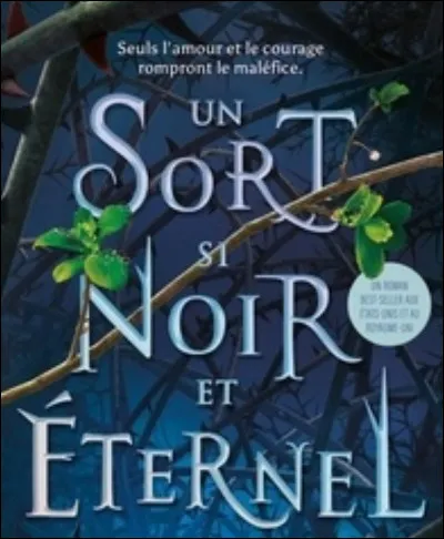 "Un Sort si noir et éternel" a été écrit par Brigid Kemmerer.