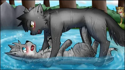 Qui sont les chats sur cette image ?