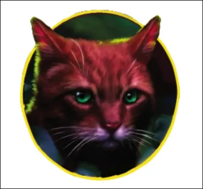 Qui est Étoile de Sapin ?