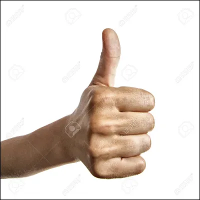 Quelle est ta principale qualité ?