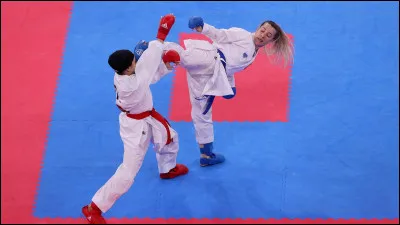 Lequel de ces films "Karaté Kid" préfères-tu ?