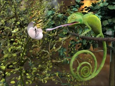 Comment appelle-t-on les animaux qui se nourrissent d'insectes ?