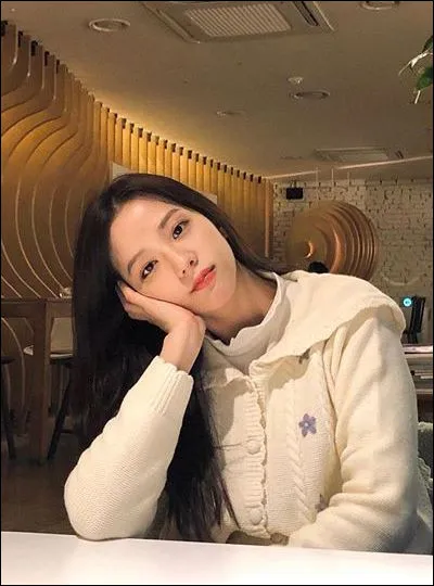 À quel âge Jisoo a-t-elle intégré YG Entertainment ?