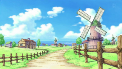 Quel est le nom du village où a grandi Luffy ?