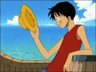 Quel est le montant de la première prime de Luffy ?