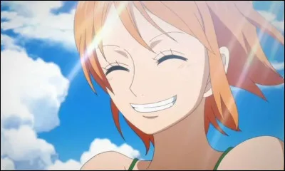 Quel est le fruit préféré de Nami ?