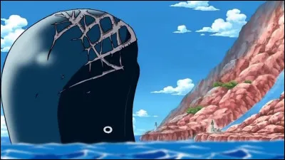 Quel est le nom de cette baleine ?
