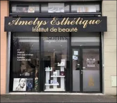 Quel est le genre du mot "esthétique" ?