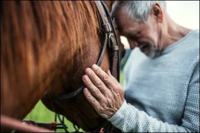 Quel acteur américain a joué dans le film "L'Homme qui murmurait à l'oreille des chevaux" ?