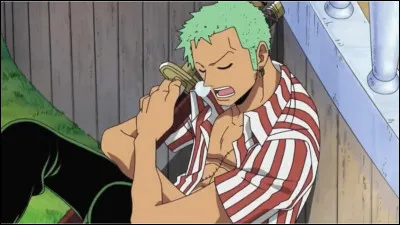 Dans quoi Zoro est-il coincé juste avant que l'aqua laguna ne ravage Water Seven ?