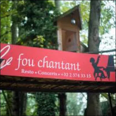 Quel chanteur était surnommé "le fou chantant" ?