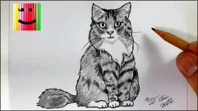 Quel type de dessin aimes-tu ?