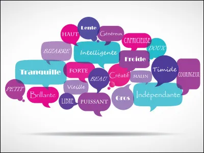 Quel adjectif te définit le mieux ?