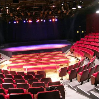 Quel humoriste, qui a également réalisé plusieurs films, dont "Nous trois ou rien", détient le record de longévité et d'affluence au théâtre de l'Européen avec son spectacle "Libre éducation" ?