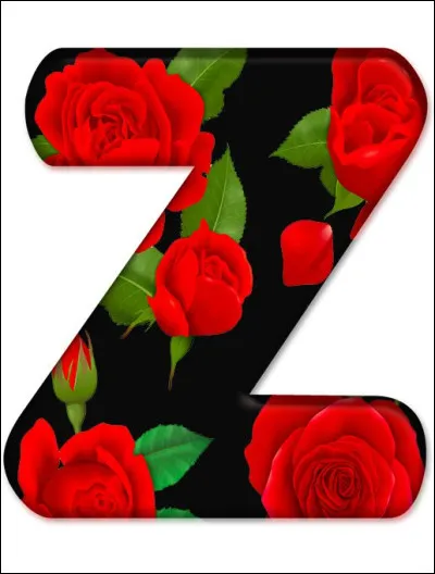 Joli coin de Hollande !