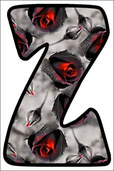 L'occasion de mettre un disque !