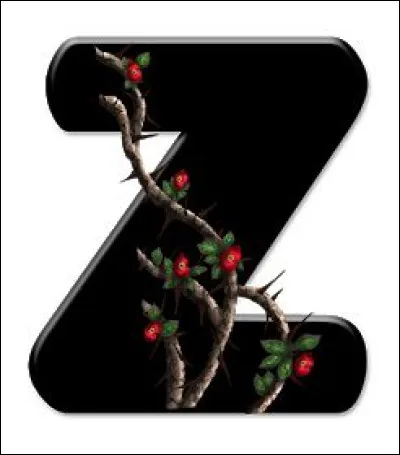 Nous en fait voir de toutes les couleurs !