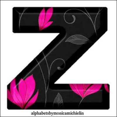 Zinzin de l'espace !