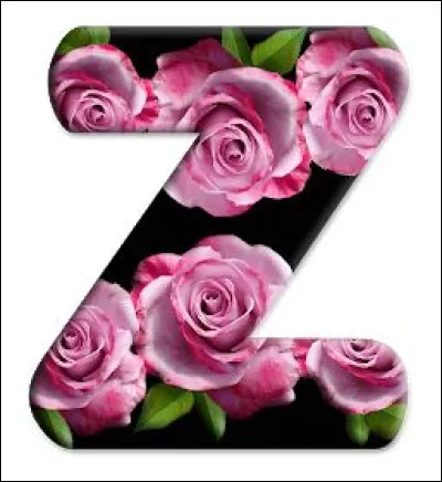 Permet de traverser quand on n'a pas les pieds sur terre !