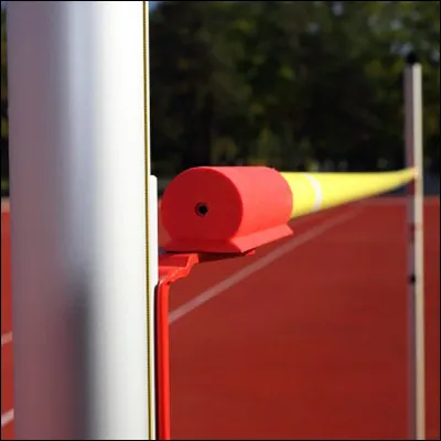 Feather, lévrier de son état, possède le record actuel de saut en hauteur pour un chien. Mais quelle hauteur ?