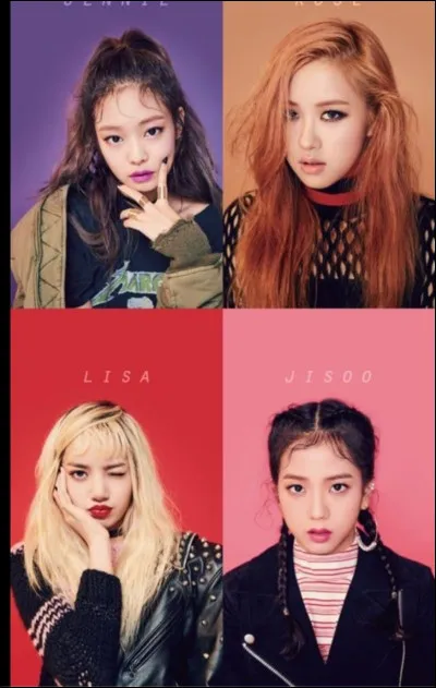 Dans un groupe de K-pop, tu préfères être :