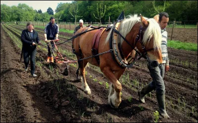 Es-tu travailleur(se) ?