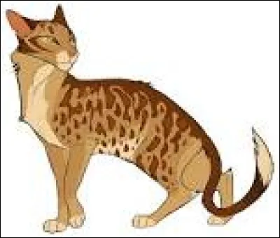 Quel était le nom de guerrière dÉtoile du Léopard ?