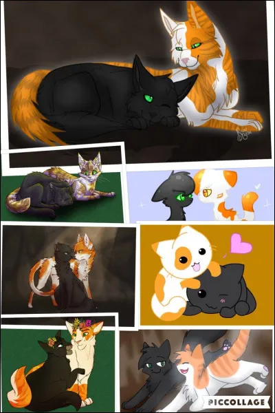 Lequel de ces chats est le fruit dun amour interdit ?