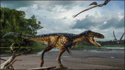 Quelle taille le Tyrannosaurus rex faisait-il ?