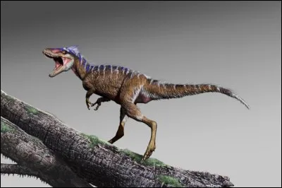 Quel était le plus petit Tyrannosauroidea ?