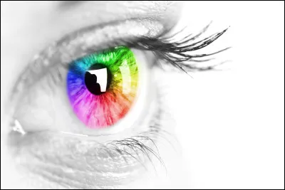 De quelle couleur sont tes yeux ?
