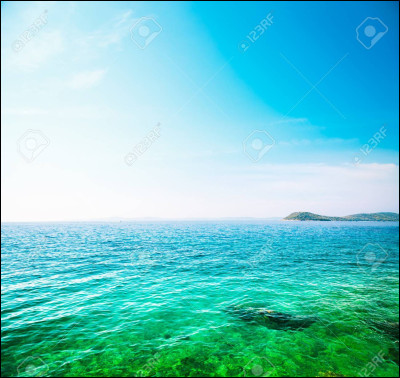 Est-ce que la couleur à laquelle tu penses est sur cette photo ? (1)