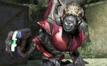 Quiz Halo
