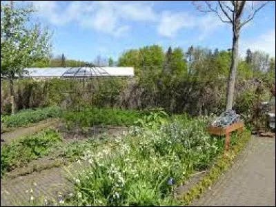 Où se situe le "Poison Garden", qui est le jardin le plus dangereux du monde ?