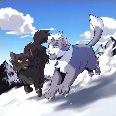 À partir de quel âge les chatons deviennent aspirants ?