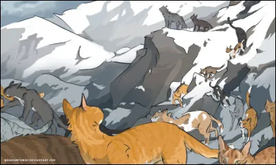 Que fait le Soigneur ?