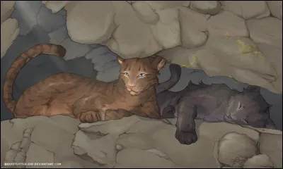 Comment sont appelés les chats qui chassent dans la Tribu ?