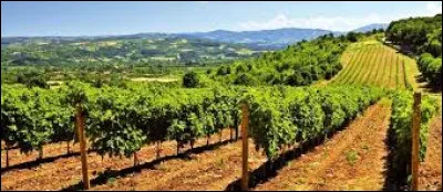 Le madiran est un vin rouge français du Sud-Ouest de la France.