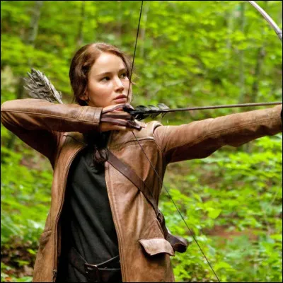 Comment préférerais-tu que soient les personnages ?