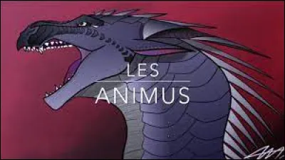 Tu es devenu fou à cause de la magie animus, comment réagis-tu ?