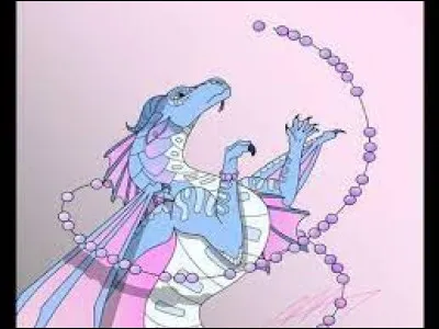 Quel type dobjets aimerais-tu ensorceler ?