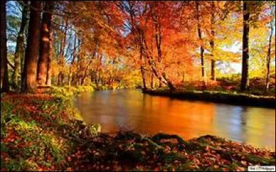 A quelle heure Harry Potter prenait-il le Poudlard Express le 1er septembre ?