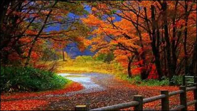 Dans quelle ville les ludi magni étaient-ils pratiqués ?