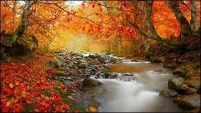 Avec quel signe zodiacal débute-t-on le mois de septembre ?