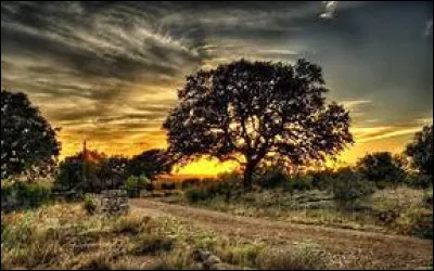 A partir de quel jour du mois est-on sous le signe zodiacal de la Balance ?